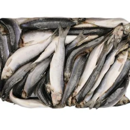 Сельдь н/р с/м 400+ ФО