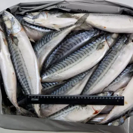 Скумбрия н/р с/м 500-700 Корея