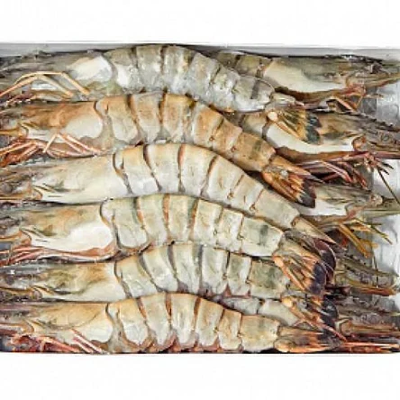 Креветка тигровая 13/15 с/м с/г