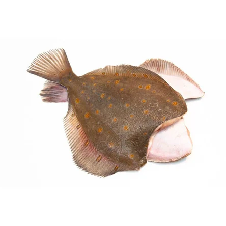 Камбала ПБГ IQF 300-500