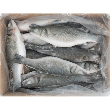 Сибас н/р с/м 300/400